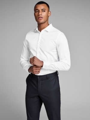 12097662 WHITE