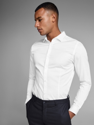 12097662 WHITE