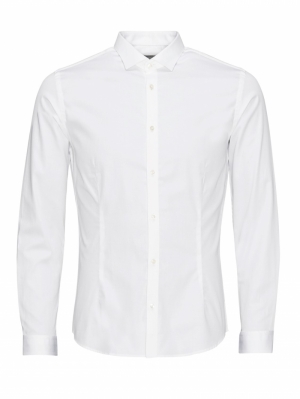 12097662 WHITE