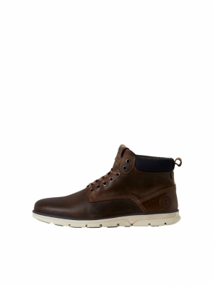 12159513 BRANDY BROWN