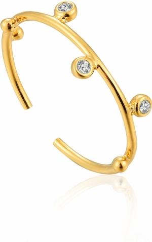 R003-02G GOLD