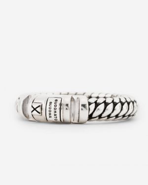 613 SILVER