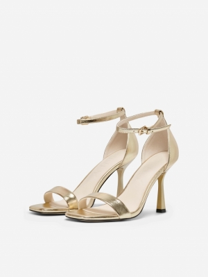 AUBREY 190260 Gold Col