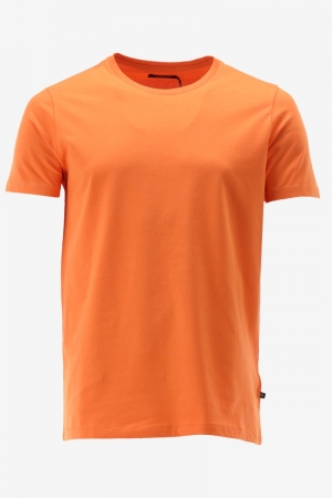 JERMALINK 161337 CORAL GO