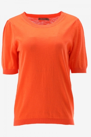 34000-10 0250 ORANGE