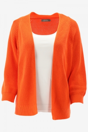 3400-10 250 ORANGE