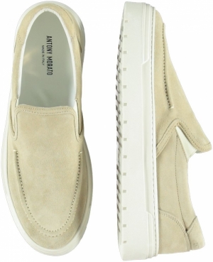 MMFW01559-LE300005 2021 SAFARI