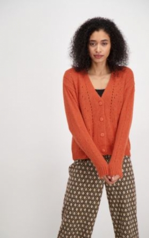843038 44 ORANGE