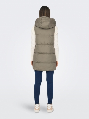 15300256 WALNUT