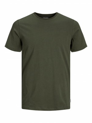 12156101 OLIVE NIGHT