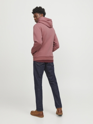 12249340 MESA ROSE