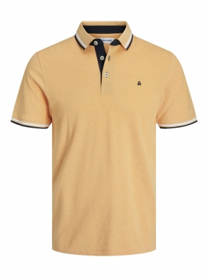 12136668 APRICOT ICE