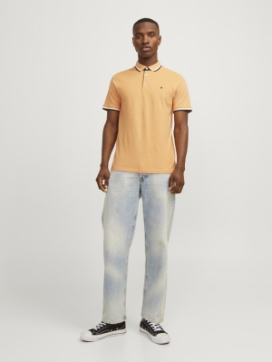 12136668 APRICOT ICE