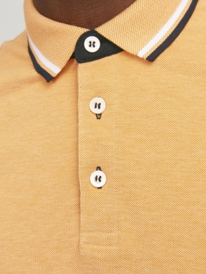 12136668 APRICOT ICE