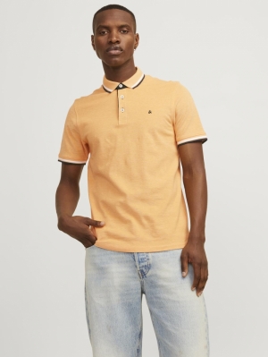 12136668 APRICOT ICE