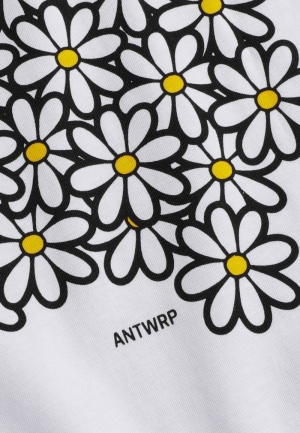 BTS311-L001S 100 WHITE
