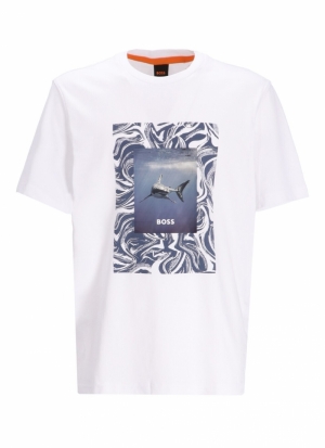 50516012 100 WHITE