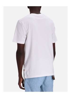 50516012 100 WHITE