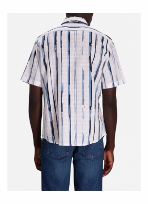 50511578 100 WHITE
