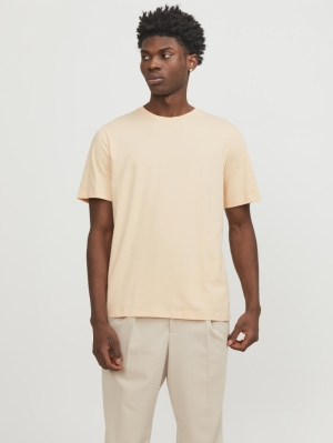 12156101 APRICOT ICE