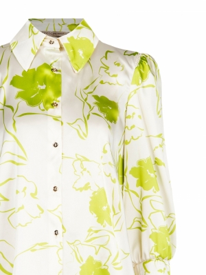 CFC0118389003 B453 VAR LIME