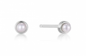 E043-01H SILVER