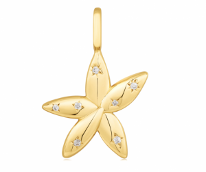 NC055-05G SHINY GOLD