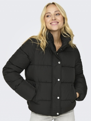 15295424 BLACK