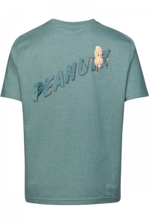 BTS373-L001S 506 SEA PINE