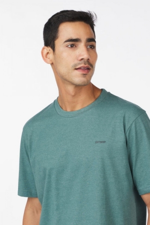 BTS373-L001S 506 SEA PINE