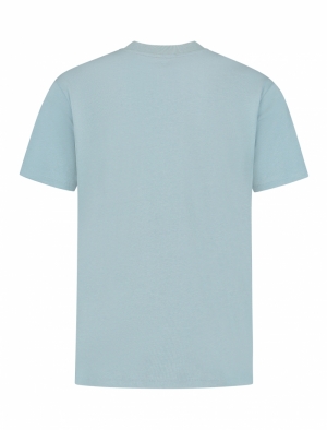 24030106 93  BLUE GREY 