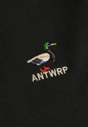 BSW369-L008 407 INK BLUE
