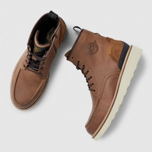 PBO2309250 898 COGNAC