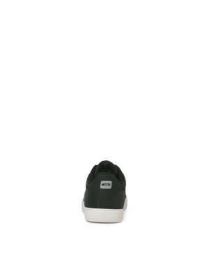 12150724 ANTHRACITE