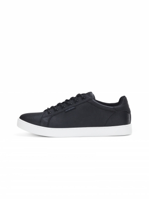 12150724 ANTHRACITE
