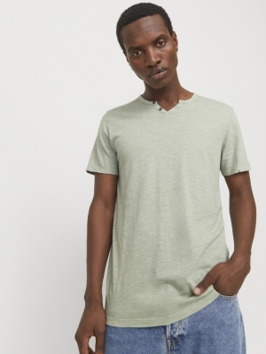 12164972 ICEBERG GREEN