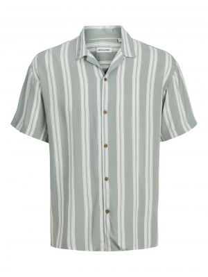 12269088 ICEBERG GREEN