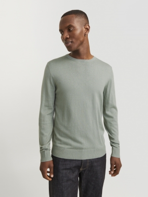 12208364 ICEBERG GREEN