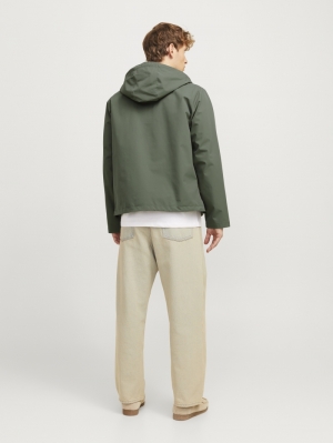 12268821 AGAVE GREEN 