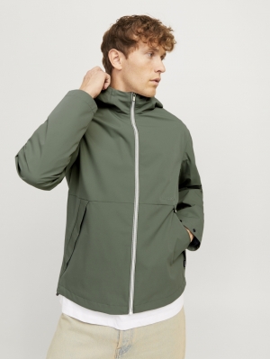 12268821 AGAVE GREEN 
