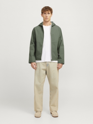 12268821 AGAVE GREEN 