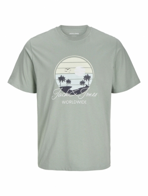 12269418 ICEBERG GREEN