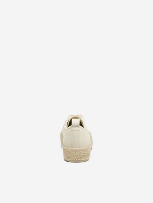 15319621 CREME