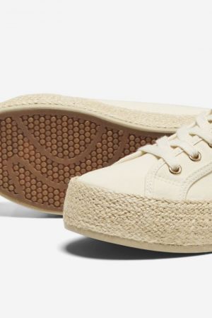15319621 CREME