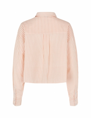 58610141 R94 SUGAR ORANGE ST