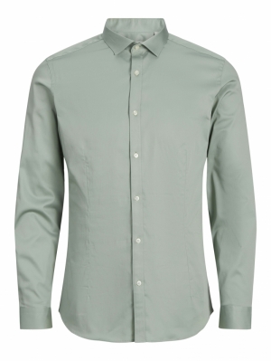 12097662 ICEBERG GREEN