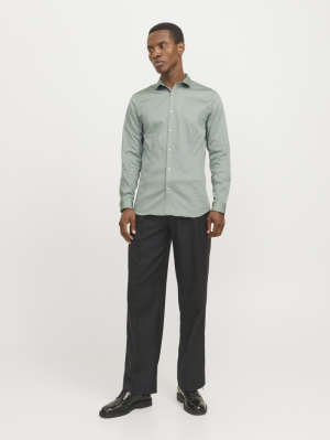 12097662 ICEBERG GREEN