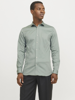 12097662 ICEBERG GREEN
