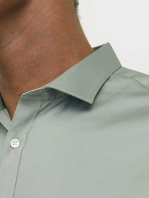 12097662 ICEBERG GREEN
