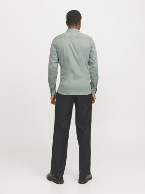 12097662 ICEBERG GREEN